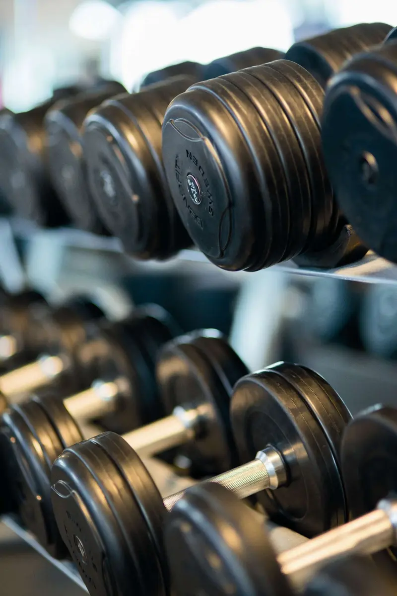 Dumbbells and weight plates on a rack